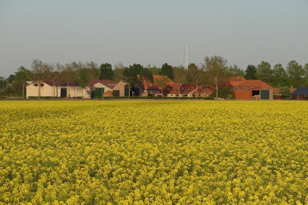 De Colve Vakantiehuis